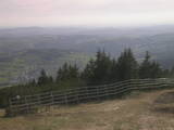 17 : 17