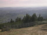 17 : 29