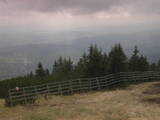 14 : 41