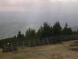 16 : 17