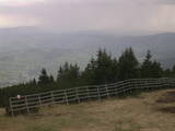 16 : 25