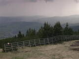 16 : 33