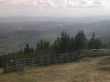 17 : 33