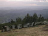 18 : 33