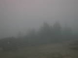 19 : 17