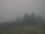19 : 33