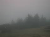 19 : 45