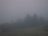 20 : 13