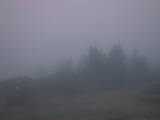 20 : 17