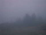 20 : 21