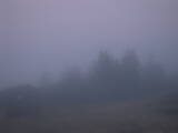 20 : 25