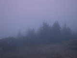 20 : 33