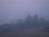 20 : 37