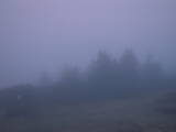20 : 41