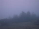 20 : 45
