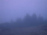 20 : 53