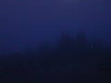 04 : 29