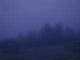 04 : 49