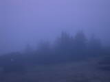 04 : 53