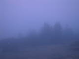 04 : 57