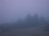 05 : 05