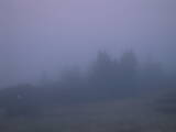 05 : 17