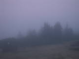 05 : 25