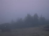 05 : 29