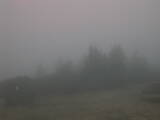 06 : 29