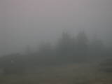 06 : 49