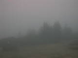 06 : 53