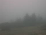 07 : 33