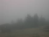 07 : 49