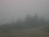 08 : 13