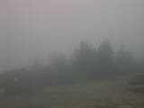 08 : 21