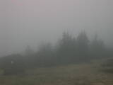 08 : 29