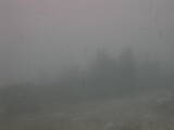 16 : 49