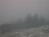 17 : 13