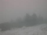 18 : 17