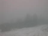 18 : 29