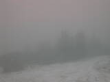 18 : 37
