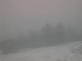 19 : 29