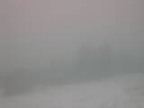 08 : 49