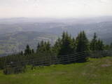 15 : 29