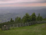 19 : 29