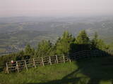 06 : 33
