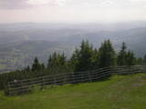 16 : 29