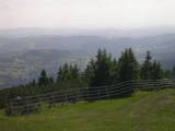 16 : 25