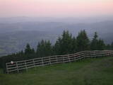 20 : 53