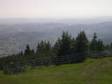 16 : 29
